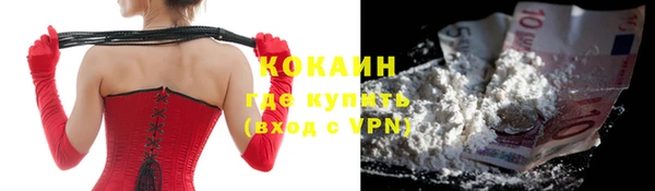 прущие крисы Няндома